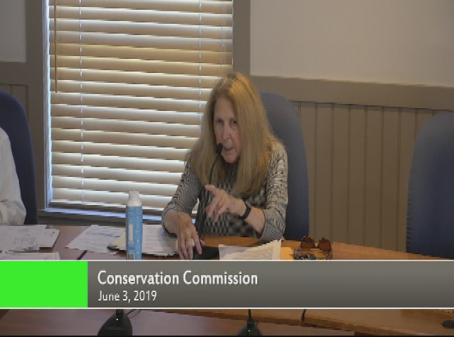 Thumbnail image for Conservation Commission